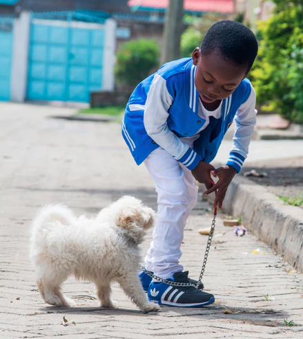 criança brincando com cachorro