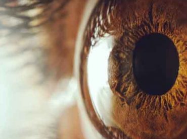 olho castanho para ilustrar artigo sobre oclusões venosas de retina